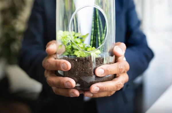 Ein Führender Europäischer Geschäftsmann Anzug Hält Eine Glasflasche Mit Mikroweltenpflanze — Stockfoto