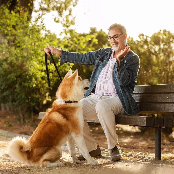 Happy Caucasian Senior Man Beard Glasses Gives Snack Dog Enjoy — Stock Photo, Image