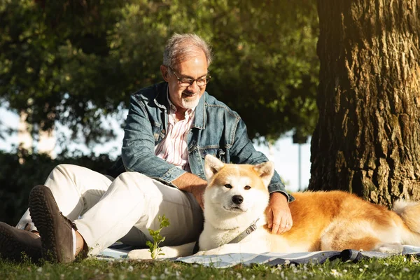 Glad Kaukasisk Senior Man Med Skägg Och Glasögon Stroke Hund — Stockfoto