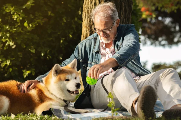 Positive caucasian old man with beard in glasses plays ball with dog, enjoy picnic, rest in park, outdoor. Love and fun together, retirement and active lifestyle, walk with pet