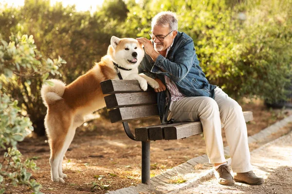 Glad Kaukasisk Senior Man Med Skägg Och Glasögon Stroke Hund — Stockfoto