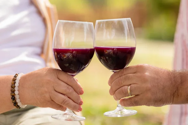 European Mature Couple Cheers Glasses Red Wine Enjoy Picnic Date — Stock Photo, Image