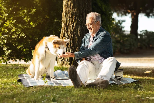 Positiv Kaukasiske Senior Mand Med Skæg Briller Giver Snack Til - Stock-foto