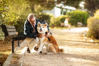 Glad caucasian senior man with beard in glasses love pet, hugs dog, enjoy training together in park, outdoor. Ad and offer, walk with animal, fun, retirement and active lifestyle clipart