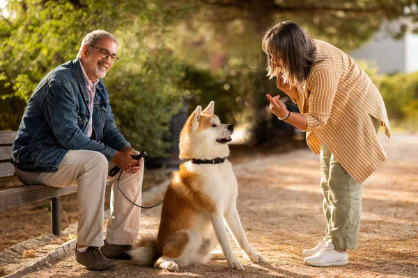 Glad Munter Europæisk Modne Par Lege Med Hunden Nyde Sammen - Stock-foto