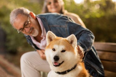 Neşeli Avrupalı olgun bir çift köpekle birlikte bankta oturur, buluşmanın keyfini çıkarır, hayvanlarla haftasonu parkta yürür, yazın dışarıda. Aşk, romantizm, boş zaman ve yaşam tarzı