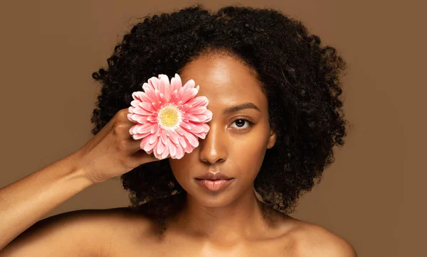 有机面部护理 生态友好化妆品的概念 美丽的赤裸的年轻黑人妇女 浓密的头发和完美的发亮的皮肤 她的眼睛上握着粉红色的花 孤立在褐色的背景 — 图库照片