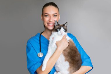 Veterinerlik kontrolü. Gülümseyen Veteriner Kadın Gri Stüdyo Arkaplanı Üzerine Şirin Kedi Poz Veriyor. Hayvan Sağlığı Konsepti. Profesyonel Personel Çekimi, Modern Veteriner Kliniği Reklam Sancağı