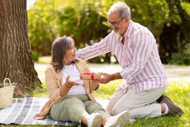 Gülümseyen yaşlı Avrupalı adam şok olmuş kadına hediye kutusu veriyor, doğum gününü, yıldönümünü ve tatilini kutluyor, parkta, dışarıda pikniğin tadını çıkarıyor. Sürpriz, romantik randevu, hediye.