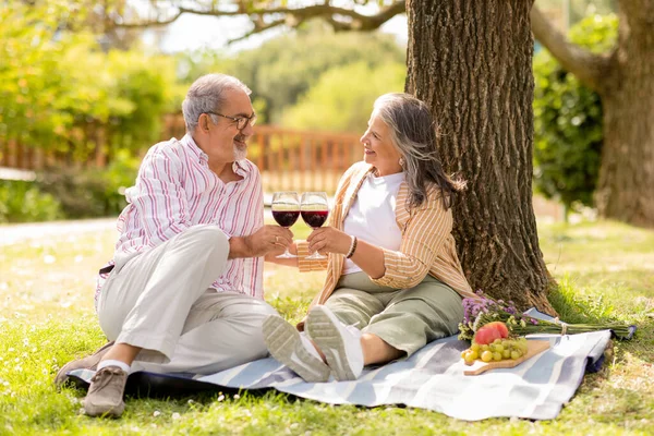 Happy Mature European Husband Wife Cheers Glasses Wine Enjoy Picnic — Stock Photo, Image