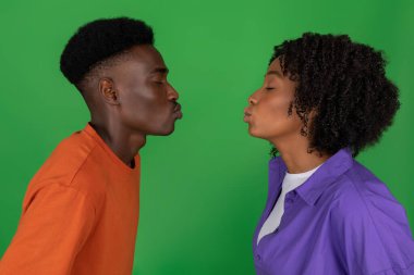 Mutlu, genç, Afro-Amerikalı bir erkek yeşil stüdyo geçmişiyle sıradan bir şekilde bir kadını öpmek istiyor. Yakından, profilinden. Birlikte çıkmak, ilişki, aşk ve romantik aile.