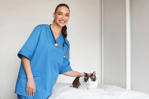 Γιατρέ Φελίν Ευτυχισμένος Επαγγελματίας Βετεράνος Κυρία Εξετάζοντας Γάτα Κατά Διάρκεια — Φωτογραφία Αρχείου