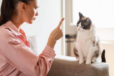 Hayvan Disiplini. Genç bayan kediyi işaret ediyor. Davranışsal problemleri var. Yan görüş. Kedi Sahibi Sorunlu, Ev Hayvanlarını Cezalandırıyor. Seçici Odaklanma, Kırpılmış