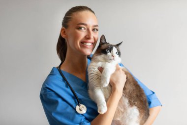 Kedi tutan mutlu veteriner doktor portresi, Gri Stüdyo geçmişi olan sağlıklı bir hasta ile poz veren, kameraya gülümseyen. Hayvan Sağlığı ve Rutin Kontrol Konsepti