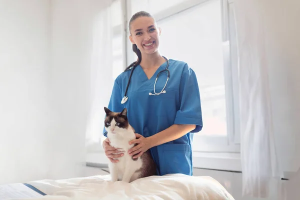 Kedi Sağlığı Sağlığı Modern Klinik Ayakta Dikilen Neşeli Veteriner Doktor — Stok fotoğraf