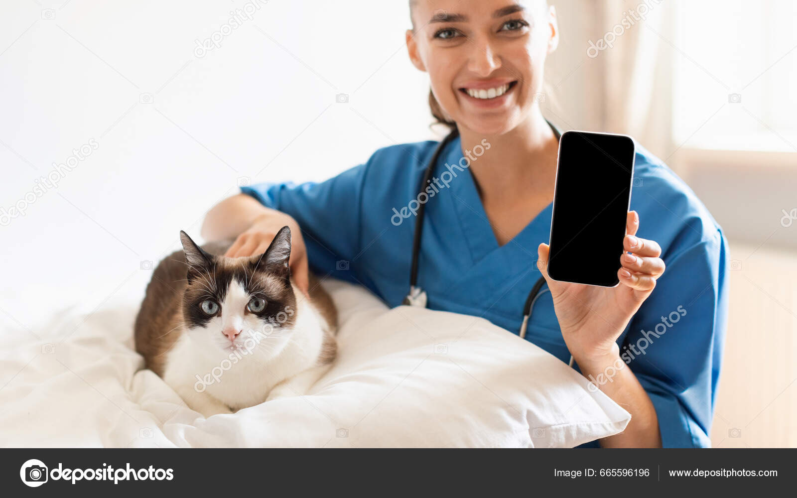 Cat lady vet sale