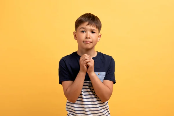 Stüdyoda Sarı Arkaplan Talebi Için Sıradan Tişörtler Giyen Komik Çocuk — Stok fotoğraf