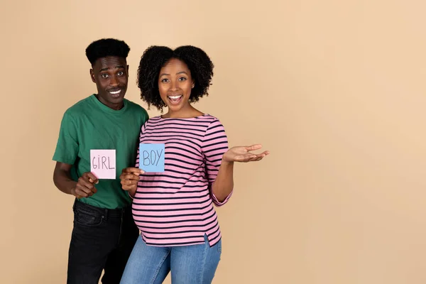 Glad surprised young black man and lady with belly, enjoy pregnancy, expect baby, hold papers with inscription boy and girl, isolated on beige background, studio. Parents, gender party and family