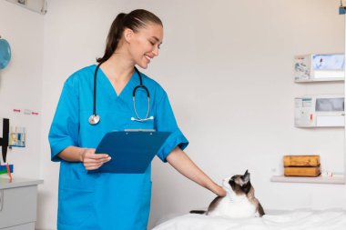 Neşeli Veteriner Doktor Bayan Kedi ile Veteriner Sağlık Kontrolü sırasında Etkileşim Kurumu Modern Veteriner Kliniği 'nde Evcil Hayvan Tahtası ile Duruşmayı İnceledi. Ev Hayvanları Sağlık Hizmetleri