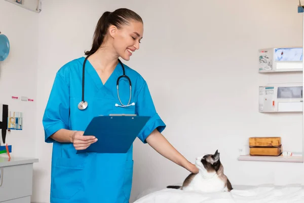 獣医師の女性は 獣医の健康診断中に猫と相互作用し 現代のヴェットクリニックの内部でクリップボードで立っているペットを検査します — ストック写真