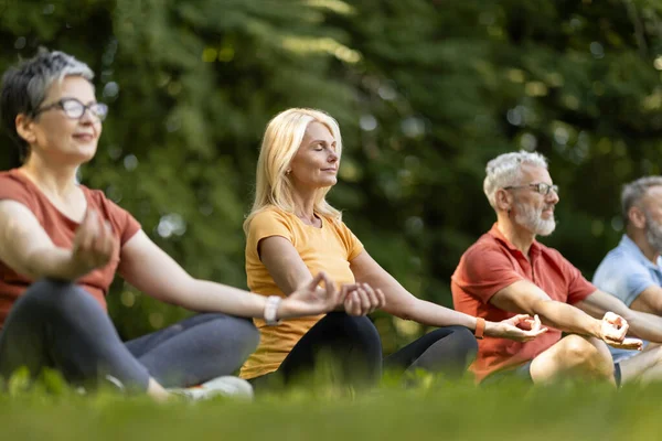 Açık havada yoga dersi. Park 'ta meditasyon yapan yaşlı insanlar grubu, Lotus pozisyonunda gözleri kapalı oturan sakin erkek ve kadınlar, doğada sabah meditasyonu, boş alan.