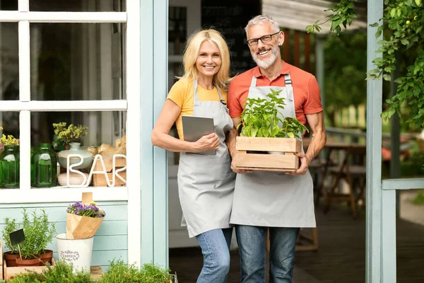Small Business Concept. Smiling Mature Greenhouse Owners Couple Posing Near Own Cafe, Senior Man Holding Crate With Potted Greens And Woman Holding Digital Tablet, Farmer Spouses Looking At Camera
