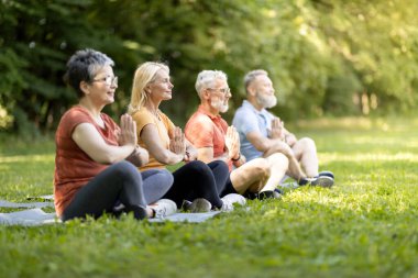 Son sınıflar için yoga. Dışarıda meditasyon yapan, Lotus pozisyonunda oturan yaşlı kadın ve erkekleri sakinleştiren, meditasyon yapan, mekanı kopyalayan olgun insanlardan oluşan bir grup.