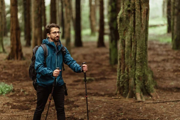 Cheerful Young Caucasian Guy Jacket Trekking Sticks Walk Forest Alone — Stock Photo, Image