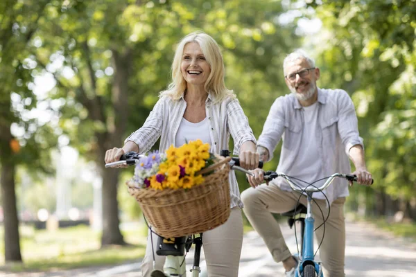 快乐的 快乐的 成熟的夫妇在夏季公园里骑自行车 积极的老夫妇在一起骑复古自行车时玩得开心 彼此赛跑笑着 自由自在 — 图库照片