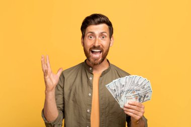 Bir dolar nakit parayla gezen heyecanlı orta yaşlı bir adam ve sarı arka planda ağzı açık bir kameraya bakıyor. Galibiyet ve başarı duyguları, online zafer ve kazanç