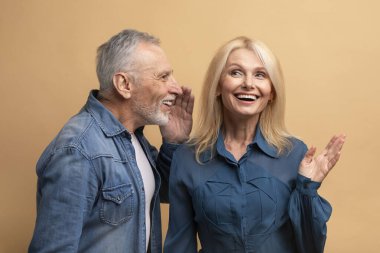 Yakışıklı, gri saçlı, sırlarını paylaşan ya da karısının kulağına dedikodu fısıldayan, bej renkli stüdyo geçmişi olan bir adam. Yaşlı eşleri sevmek dedikoduları paylaşmak. Evlilikte iletişim