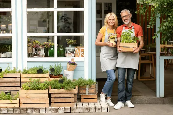 エコ農業コンセプト ハッピー成熟した配偶者と植物が屋外に立って 笑顔のシニアファーマーズカップル中小企業オーナーは 温室のテラスでポジショニングエプロンを着ています コピースペース — ストック写真
