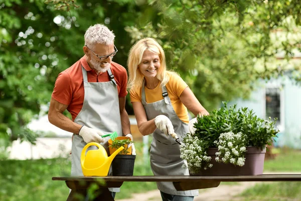 Happy Mature Couple Planting Flowers Together Outdoors In Garden, Smiling Romantic Senior Spouses Wearing Aprons Enjoying Gardening, Managing Potted Plants On Backyard, Having Fun Outside