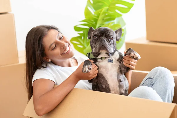 Closeup of pretty young woman with french bulldog in empty house among cardboxes with belongings, playing with her pet dog in new apartment, enjoying new house. Rent, relocation, moving