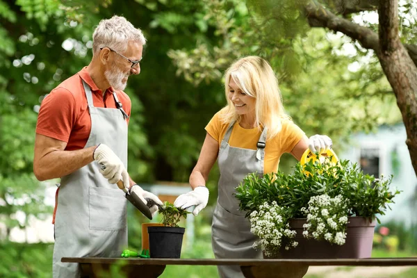 Emeklilik Hobileri Arka Bahçede Birlikte Bahçıvanlık Yapan Gülümseyen Olgun Eşler — Stok fotoğraf