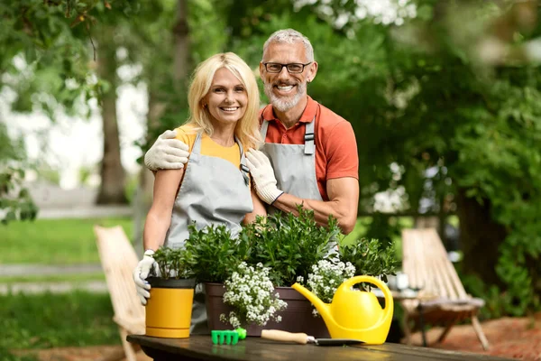 Portrait Of Happy Mature Couple Replanting Potted Flowers In Garden, Cheerful Senior Spouses In Aprons And Gloves Gardening Together, Older Man And Woman Embracing And Smiling At Camera, Copy Space