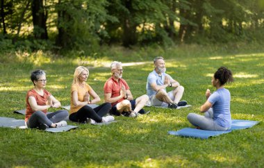 Bir grup üst düzey insan dışarıda eğitmenle yoga yapıyor, çeşitli yaşlı erkekler ve kadınlar Lotus pozisyonunda birlikte oturuyor, çimenlikte meditasyon yapıyor, alanı kopyalıyor.