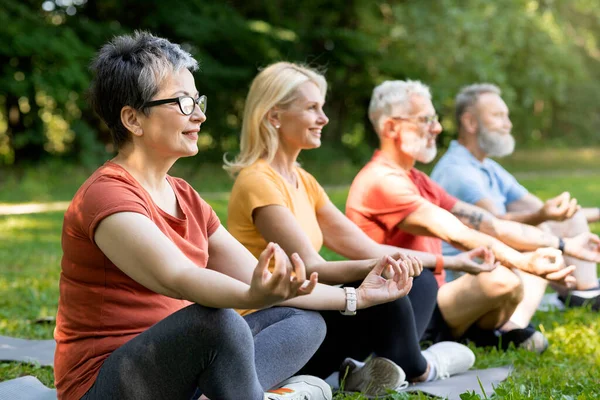 Wellness Concept. Group Of Smiling Senior People Meditating Together Outdoors, Diverse Mature Men And Women Practicing Yoga Outside, Sitting In Lotus Position, Keeping Hands In Mudra Gesture