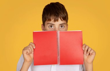 Okulda kitap okuyan Avrupalı genç bir çocuk, turuncu stüdyo geçmişinde izole edilmiş. Sınava, çalışmaya, bilgiye ve çocukluğa, yaşam tarzına ve ödevlere hazırlanın.