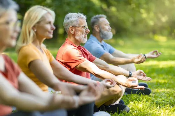 Group Meditation. Diverse Sporty Senior People Meditating Together Outdoors, Smiling Older Men And Women Practicing Yoga, Sitting In Lotus Position And Keeping Hands In Mudra Gesture, Side View