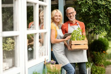 Eko-Tarım Konsepti. Gülümseyen kıdemli çiftçiler, dışarıda seranın yanında dikilen mutlu, olgun eşler, sandıklarda ve dijital tabletlerde bitkileri tutanlar, önlüklü küçük işletmeciler,