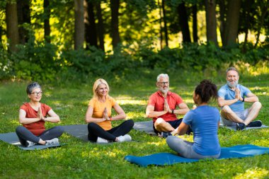 Yoga sınıfına dışarıda eğitmenle katılan bir grup son sınıf öğrencisi, Lotus pozisyonunda oturan yaşlı erkek ve kadınlar meditasyon yapıyor, dışarıda antrenman yapıyor, uzayı kopyalıyor.