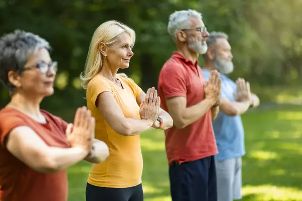 Outdoor Yoga. Group Of Happy Senior People Meditating Together, Diverse Smiling Older Men And Women In Activewear Standing With Clasped Arms, Practicing Yoga, Enjoying Healthy Lifestyle, Side View