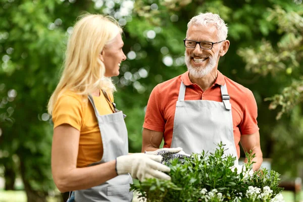 Beautiful Mature Spouses Having Fun While Gardening Together Outdoors, Happy Senior Man And Woman Wearing Aprons Tending To Potted Plants And Smiling To Each Other, Chatting And Enjoying Planting