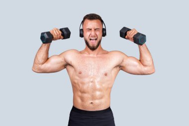 Güçlü kaslı Avrupalı sakallı adam, kablosuz kulaklıklı çıplak gövde, halterli egzersiz yapıyor, ağzı açık çığlık atıyor, gri stüdyo arka planında izole edilmiş, panorama
