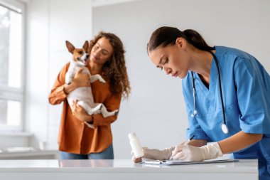 Mavi önlüklü, odaklanmış kadın veteriner panoya yazı yazarken, kadın küçük, uyanık köpeğini sevgi dolu bir şekilde kapalı bir veteriner kliniğinde tutuyor.