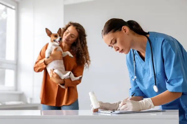 在剪贴板上写着专注于蓝色刷子的女兽医 而在明亮的兽医诊所里 女人则亲切地把她那只警觉性强的小狗抱在屋里 — 图库照片