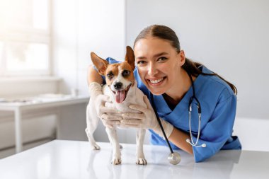 Mavi önlüklü, gülümseyen kadın veteriner. Kahverengi ve beyaz renkli neşeli bir köpek tutuyor ve muayene ediyor. Kliniğin içindeki kameraya bakıyor.