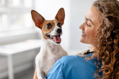 Mavi önlüklü kadın veteriner heyecanlı bir Jack Russell Terrier ile bir veteriner kliniğinde mutlu bir anı paylaşıyor.