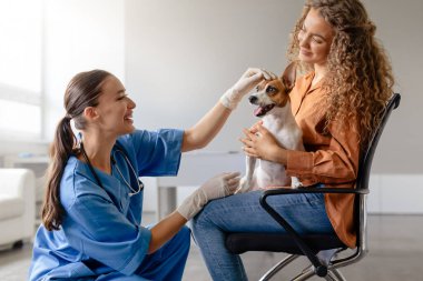 Bayan veteriner, Jack Russell Terrier ve gülümseyen sahibiyle neşeli bir anı paylaşıyor. Parlak bir veteriner ofisinde dostane bir muayene sırasında.